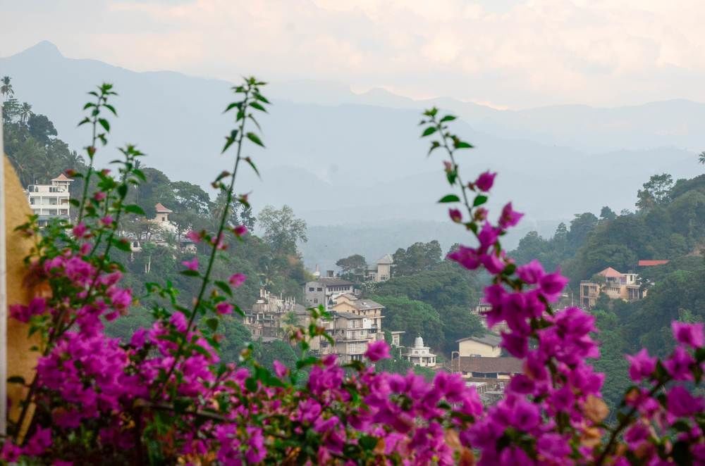 Blinkbonnie Inn Kandy Bagian luar foto