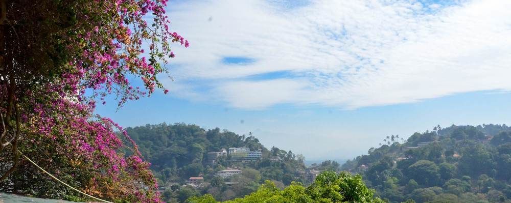 Blinkbonnie Inn Kandy Bagian luar foto